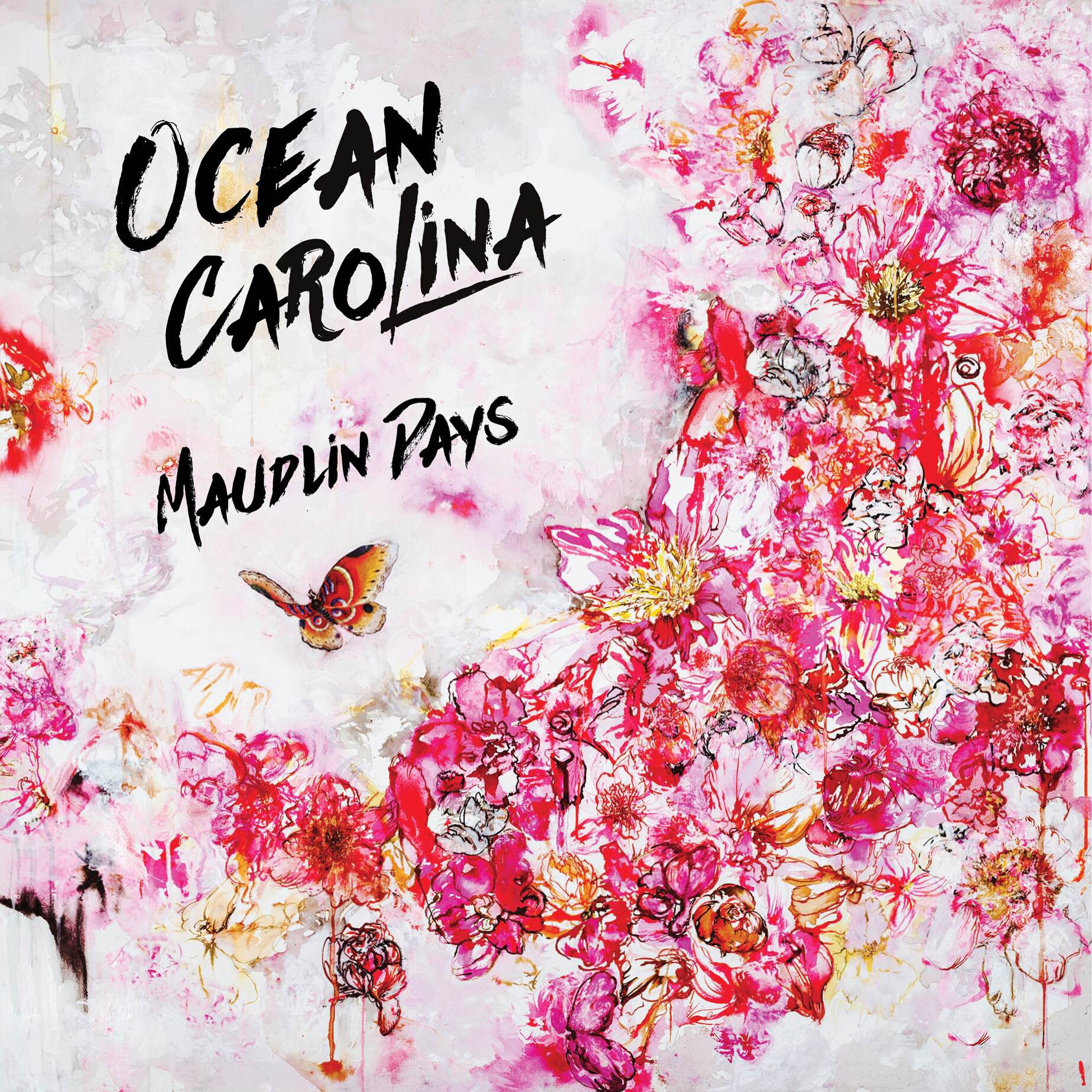 ocean carolina maudlin days